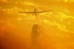 Bomber
